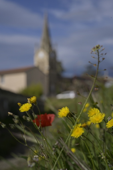 24-ST-PRIM-265.jpg