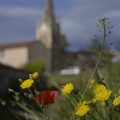 24-ST-PRIM-265