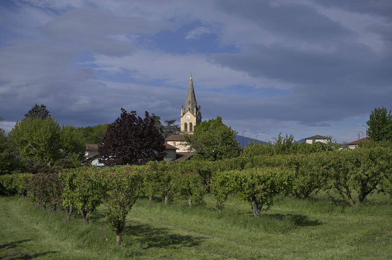24-ST-PRIM-267.jpg
