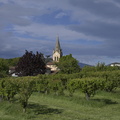 24-ST-PRIM-267
